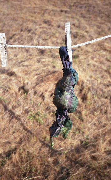 Max_height_8.dyed-fabric