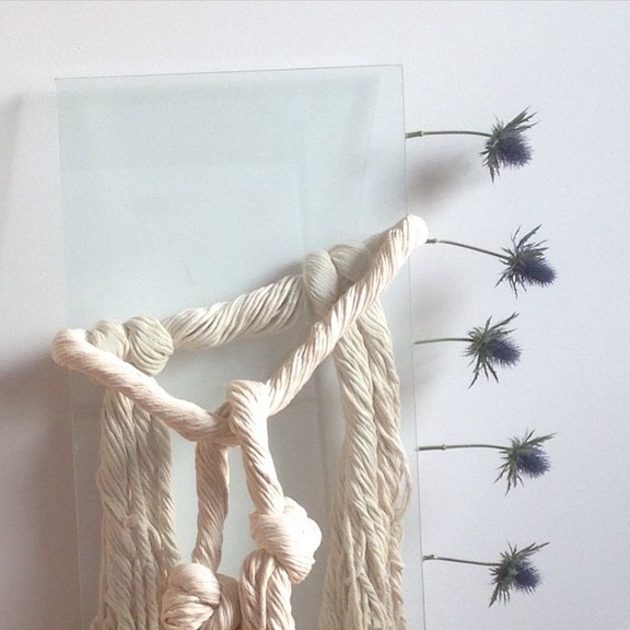 Max_height_1510421_10153789033632506_782531835665486662_n