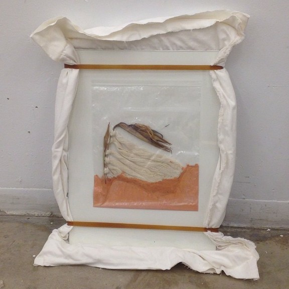 Max_height_11071682_10153677917012506_4493195700702075831_n