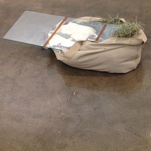 Max_height_10313594_10152797743802506_4030877643994678134_n