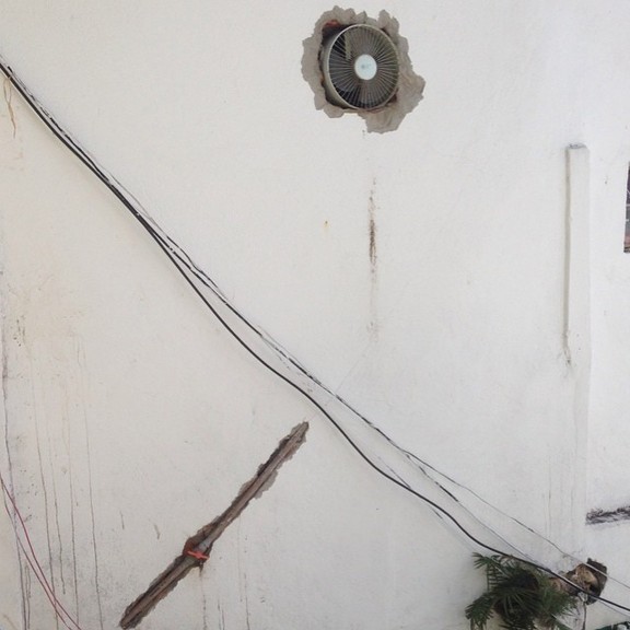 Max_height_1466271_10153275081407506_3419223501877934739_n