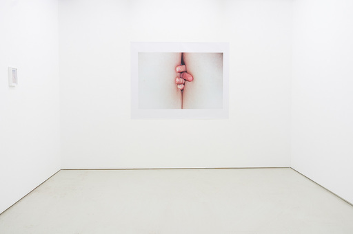 Max_width_linascheynius_melk_2014_05