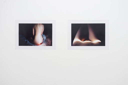 Max_width_linascheynius_melk_2014_09