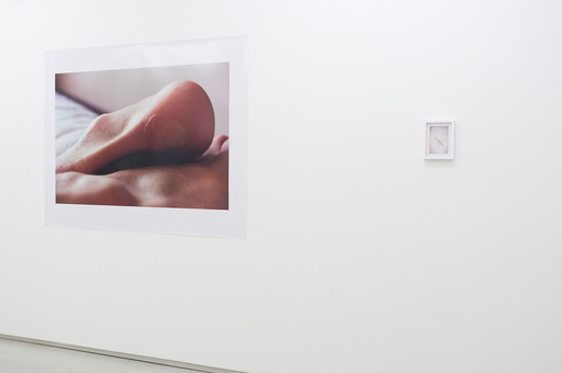 Max_width_linascheynius_melk_2014_08