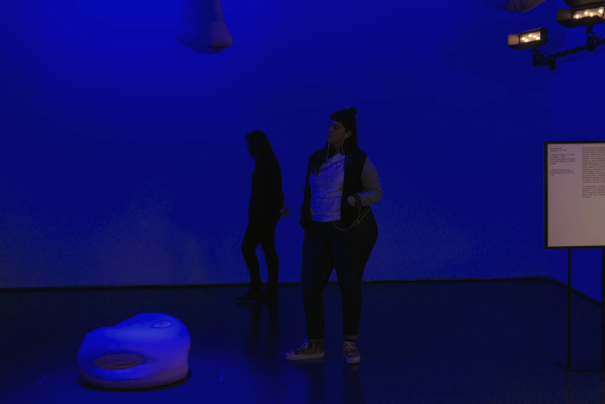 Max_height_here_shaamanda