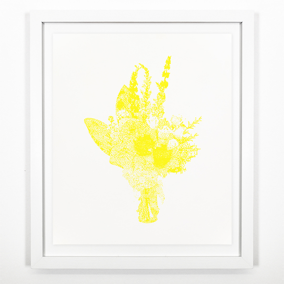 Max_height_sympathy_yellow_final_square