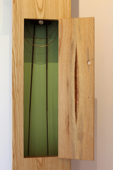 Max_height_close_antenna_and_wound_150_dpi_copy