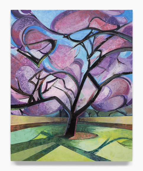 Max_height_mk_040826-007v4