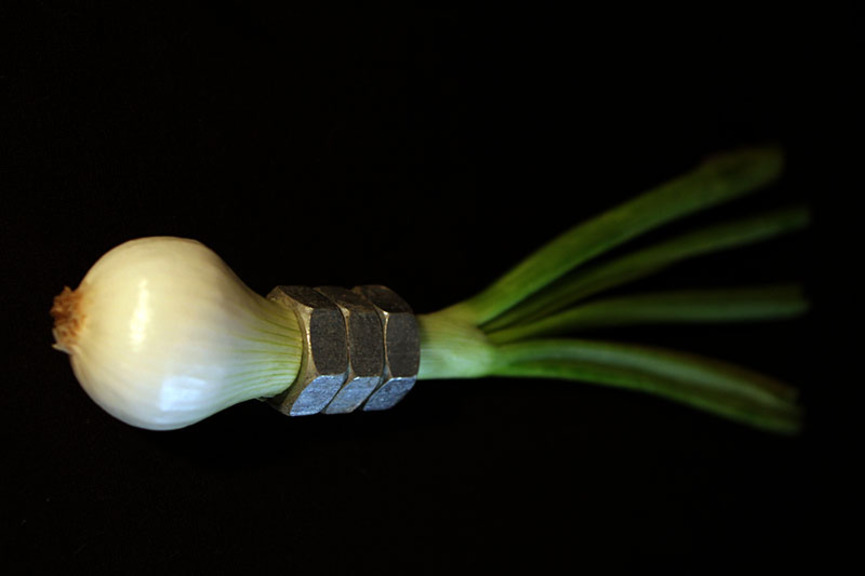Max_height_onion01