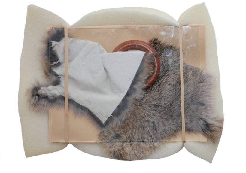 Max_height_max_height_package_for_greycleartest_