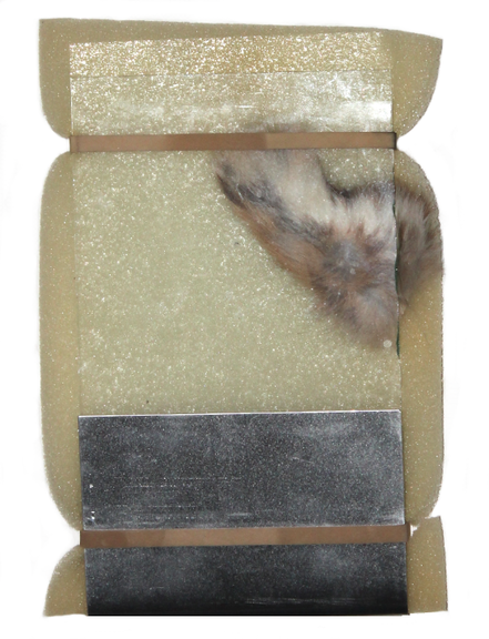 Max_height_package2clearfinal