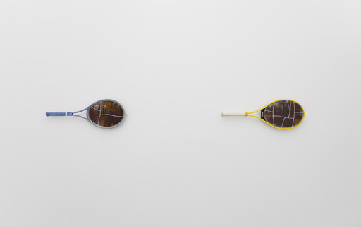 Max_width_wim_delvoye_install